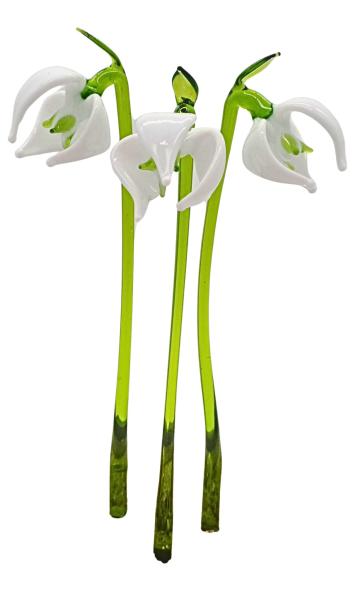 Schneeglöckchen (3er Set)